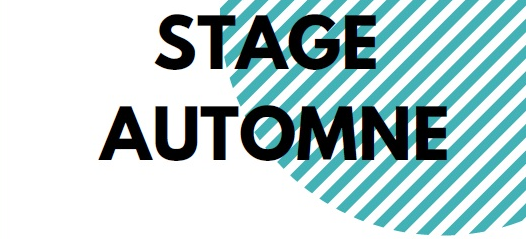 Lire la suite à propos de l’article Stages d’automne